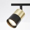 Brilliant Maribel Spotlights brass, black, 4-light sources