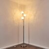 Bernado Floor Lamp matt nickel, 3-light sources
