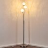 Bernado Floor Lamp matt nickel, 3-light sources