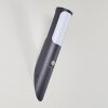 Nalmaibrück Outdoor Wall Light anthracite, 1-light source, Motion sensor