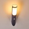 Nalmaibrück Outdoor Wall Light anthracite, 1-light source, Motion sensor