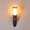 Nalmaibrück Outdoor Wall Light anthracite, 1-light source, Motion sensor
