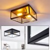 MOATIZE Ceiling Light black, 2-light sources