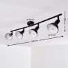 POLMAK Ceiling light black-gold, 4-light sources
