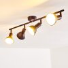 POLMAK Ceiling light black-gold, 4-light sources