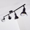 POLMAK Ceiling light black-gold, 4-light sources
