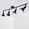 POLMAK Ceiling light black-gold, 4-light sources