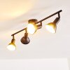POLMAK Ceiling light black-gold, 4-light sources