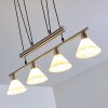 Bamenda Pendant Light matt nickel, 4-light sources