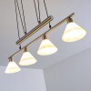 Bamenda Pendant Light matt nickel, 4-light sources