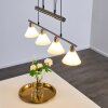 Bamenda Pendant Light matt nickel, 4-light sources