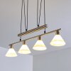 Bamenda Pendant Light matt nickel, 4-light sources