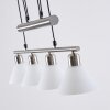 Bamenda Pendant Light matt nickel, 4-light sources