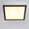 ESSAOUIRA Ceiling Light LED black, 1-light source, Remote control