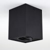 Baishan Ceiling Light black, 1-light source