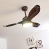 DOHA ceiling fan LED brown, 1-light source, Remote control