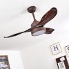 DOHA ceiling fan LED brown, 1-light source, Remote control