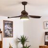 DOHA ceiling fan LED brown, 1-light source, Remote control