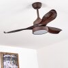 DOHA ceiling fan LED brown, 1-light source, Remote control