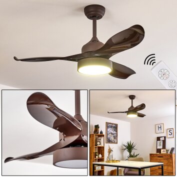 DOHA ceiling fan LED brown, 1-light source, Remote control