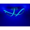 Leuchten-Direkt LS-MELINDA Ceiling Light LED stainless steel, 1-light source, Remote control, Colour changer