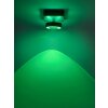 Ceiling Light Paul Neuhaus Q-MIA LED anthracite, 1-light source, Remote control