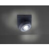 Ceiling Light Paul Neuhaus Q-MIA LED anthracite, 1-light source, Remote control