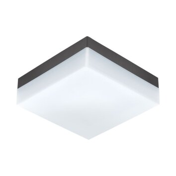 Eglo SONELLA Ceiling Light LED anthracite, 1-light source