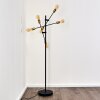 Coppet Floor Lamp black-gold, 6-light sources