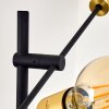 Coppet Floor Lamp black-gold, 6-light sources