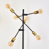 Coppet Floor Lamp black-gold, 6-light sources