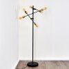 Coppet Floor Lamp black-gold, 6-light sources
