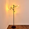 Coppet Floor Lamp black-gold, 6-light sources