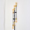 Coppet Floor Lamp black-gold, 6-light sources