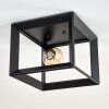 TRARYD Ceiling Light black, 1-light source