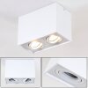 Betsie Ceiling Light white, 2-light sources