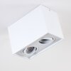 Betsie Ceiling Light white, 2-light sources