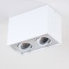 Betsie Ceiling Light white, 2-light sources