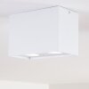 Betsie Ceiling Light white, 2-light sources