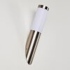 Norburg Outdoor Wall Light stainless steel, 1-light source