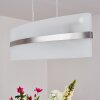 Avellino pendant light stainless steel, white, 3-light sources