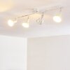 POLMAK Ceiling light gold, white, 4-light sources
