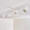 POLMAK Ceiling light gold, white, 4-light sources
