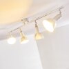 POLMAK Ceiling light gold, white, 4-light sources