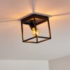 Ryssby Ceiling Light black, 1-light source