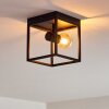 Ryssby Ceiling Light black, 1-light source