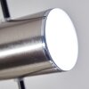 Bamenda Pendant Light matt nickel, 5-light sources