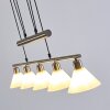 Bamenda Pendant Light matt nickel, 5-light sources