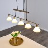 Bamenda Pendant Light matt nickel, 5-light sources