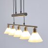 Bamenda Pendant Light matt nickel, 5-light sources